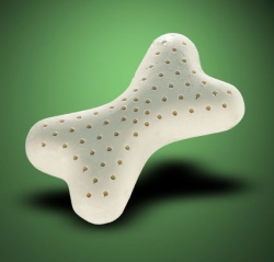 Bone Car Cushion